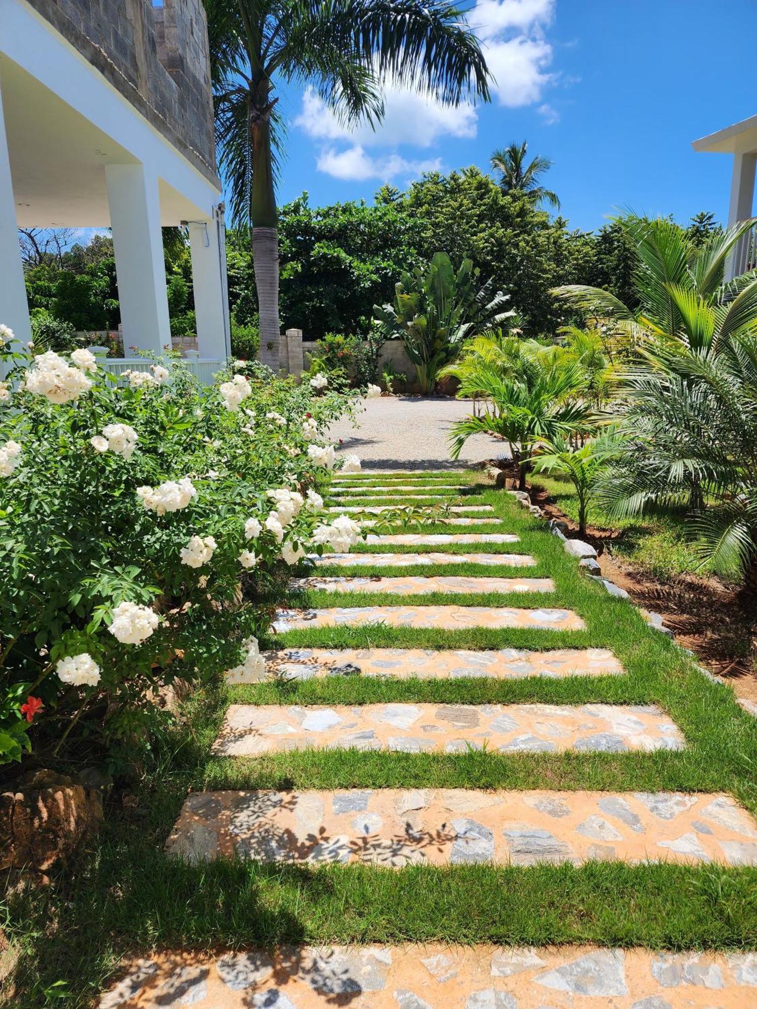 Bella Villa Room With Large Pool And Close To Beach Las Galeras Exteriér fotografie
